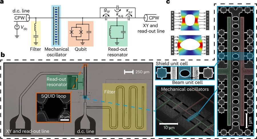 カリフォルニア工科大学の研究者たち、音を使って量子情報を保存するハイブリッド型量子メモリを開発